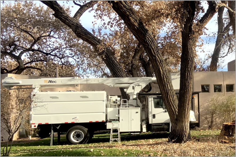 Seasonal maintenance project